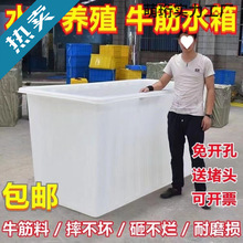 大号加厚牛筋塑料水箱长方形周转箱水产养殖箱养鱼牛筋箱推布车新
