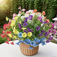 �羳���R�d�����ȼ�����ţ������ٻ���������Ҿӻ��@���滨�b�