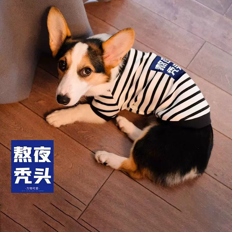 Домашняя собака одежда собаки предотвращает выпадение волос весной и осенью
