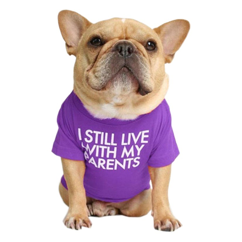 Fadou ropa Hermano Grande PUG arena piel bulldog ropa para mascotas cuello redondo Camiseta peluche que Panda ropa para perros