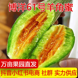�a��ֱ�l����61̖������r����۲���9̖�����Fժ�ЋDһ�����l