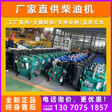 潍坊柴油发动机4100/4105/6105多用途高效四缸柴油发动机工程机械