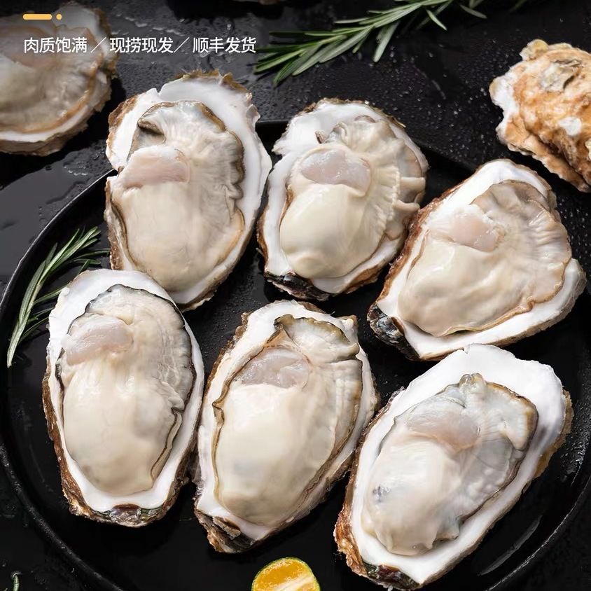 2500g 순중량 2.5kg 무료 3종세트 - 4XL 중대형 [점장 추천] 총 15~23개