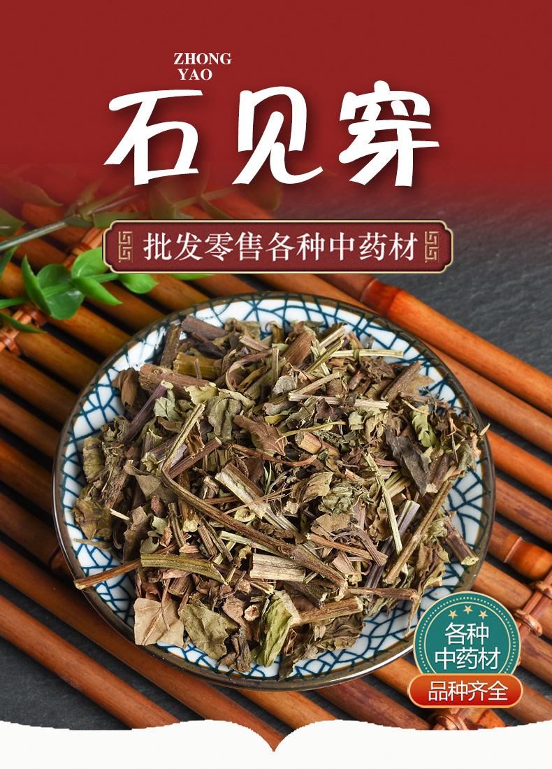 Shi Jian Chuan (Salvia chinensis) — Dried Chinese Herb, Unsulfured, 500g overview