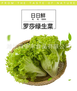 Rosa Green Cai Cai Ye Fresh сельскохозяйственная продукция собирает чистые овощи холодные смешанные салат супермаркет супермаркетов.