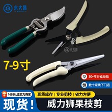 �����{��֦��֦��@�ֹ��仨��֦�޽ӈ@ˇ������ժˮ����ľ��֦��