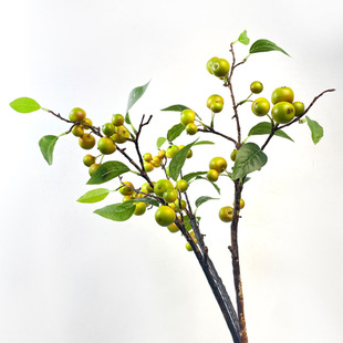 ���溣�Ĺ���С�O����֦�{���bٻ��lؔ���[�������羳����