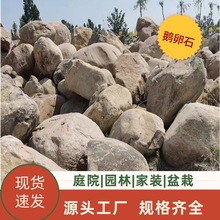 天然鹅卵石滤料水处理垫层鹅卵石滤料花卉园林造景变压器鹅卵石