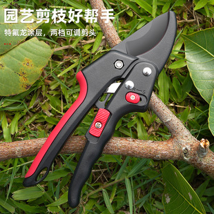 Fruit Tree Pruning Shears Branches Thick Branches Gardening Scissors Floral Flower Branch Scissors Pruning Garden Tools Flower Shears Pruning