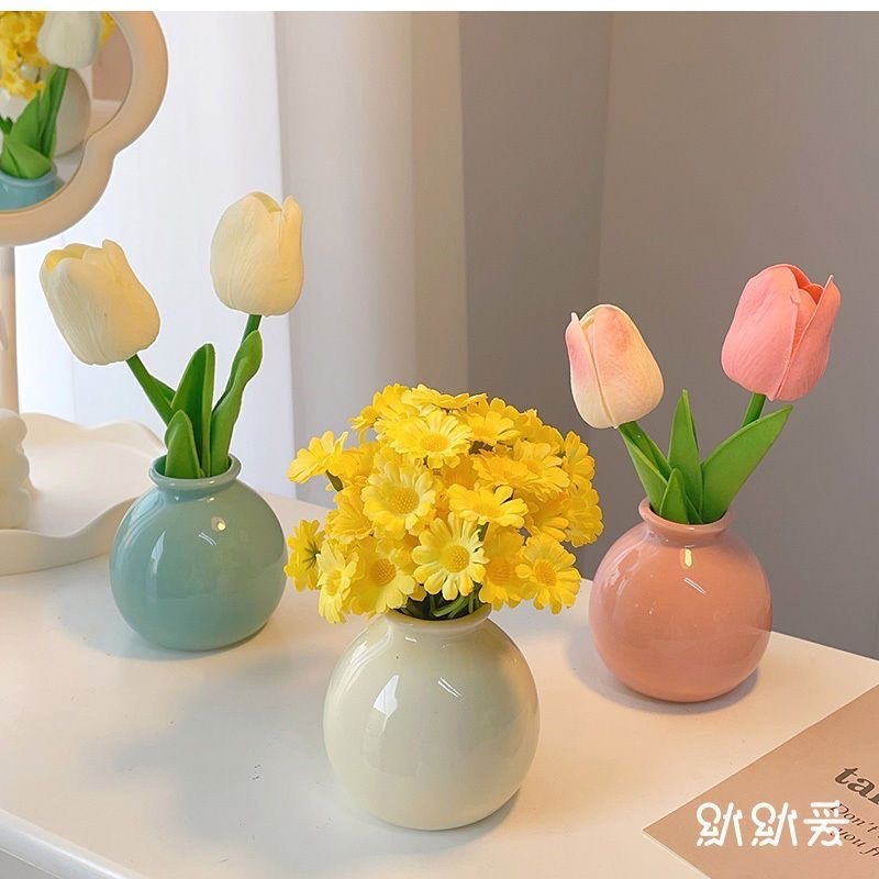 메인 사진 패키지【H5】