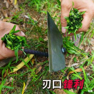 �@ˇ�r�߳����s���N�������N�������i䓶����z�^