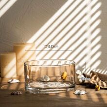 经典款椭圆小口花瓶大肚玻璃花瓶微景观生态瓶简约样板间插花花器