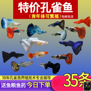 ��ȸ�~С�~�Ꭷ�~ȫ�N�������B�^�p�~С�͵�ˮ���R�~����~����