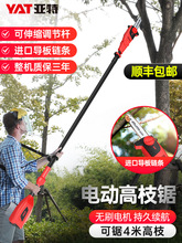 늄Ӹ�֦䏳��ʽ�䏸߿��޼���֦�����s�@�ֹ�����֦�