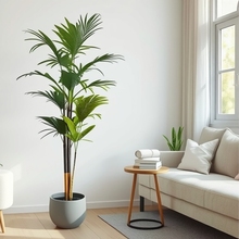 ��ɽ�������ԾGֲ�k���҃ȿ͏dֲ����þG�j���G�}�������ȩ