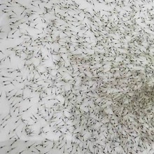 ���^�r�r���_�������l�ͻ��r����B���f��ˮ�r�����ό����fβ���\