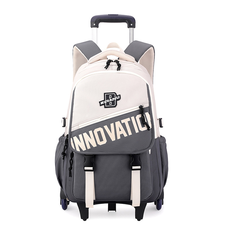 Nuevas mochilas de pescado natural mayorista para estudiantes de alta capacidad para hombres y mujeres mochilas de tracción transfronterizas de secundaria