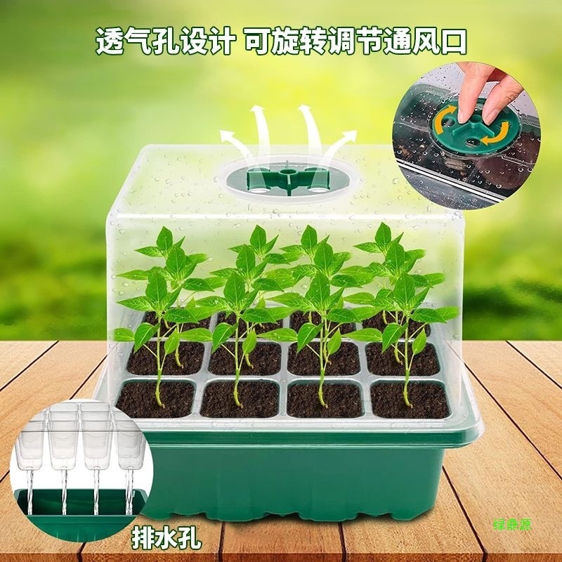 葉挿し苗トレイ、播種箱穴、プラスチック製温床ポット、苗多肉植物培養保湿箱蓋3点セット|undefined