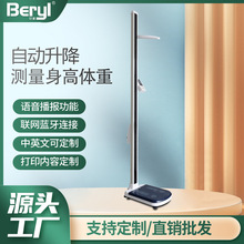 全自动升降测量仪身高体重秤学校体检精准测量带打印功能工厂直销
