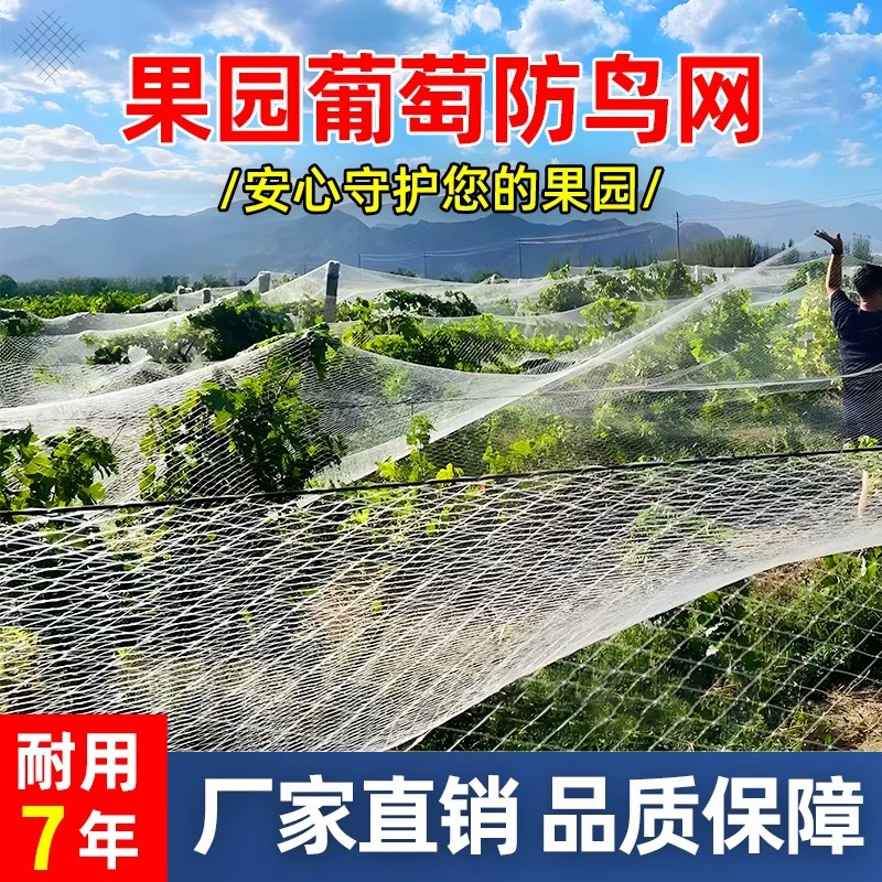 防鸟网大棚保护网家用果树网防鸟用的防护网鱼塘养殖网厂家直销价