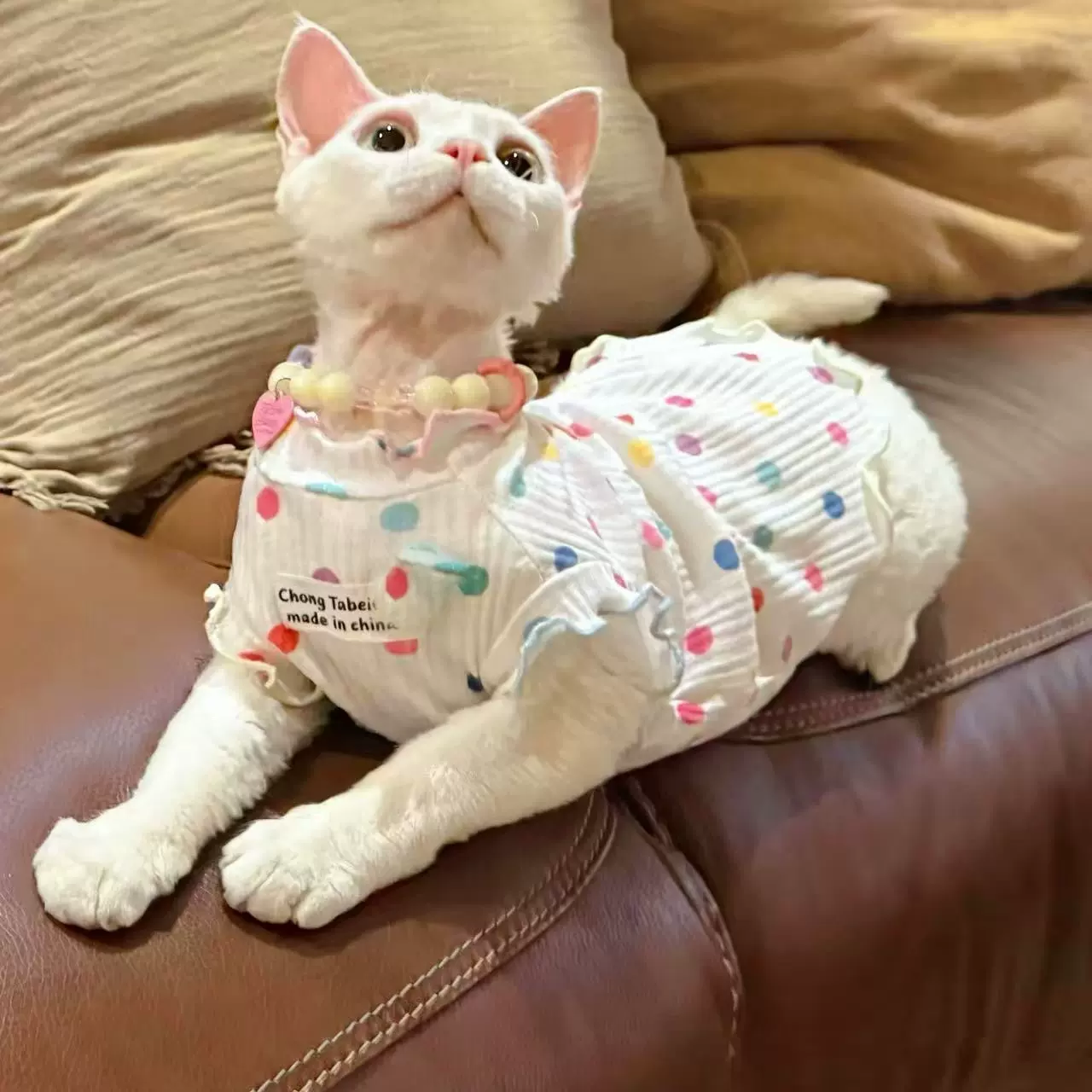 宠物衣服夏日多巴胺彩色波点斯芬克斯德文短毛猫无袖透气猫咪衣服