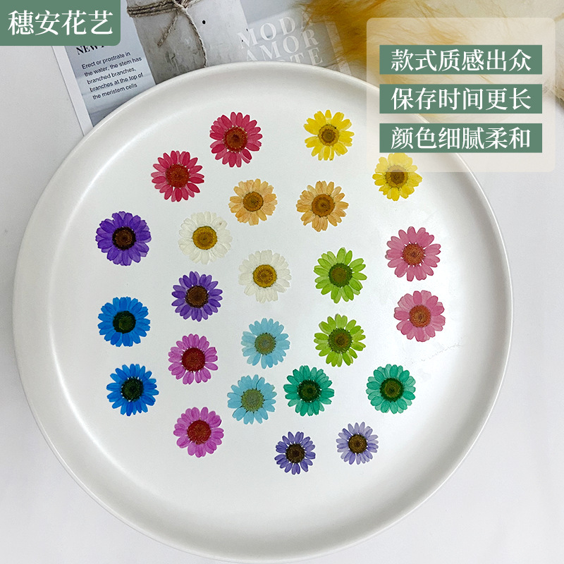 Dried flower material can be dyed crystal chrysanthemum embossed handmade DIY drop glue mobile phone shell travel stickers face art photo daisy Dried flower material can be dyed crystal chrysanthemum embossed handmade DIY drop glue mobile phone shell travel stickers face art photo daisy