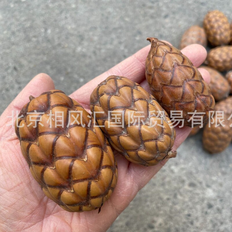 [Yuxiguo] Imported Dried Fruits, South American Wine, Coconut Fruits, Healing and Cultural Toys, Natural Plant Home Furnishings, Holiday Gifts
