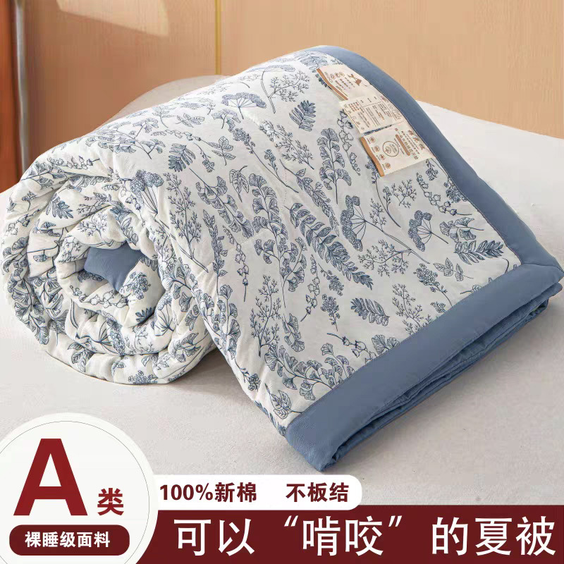 Summer Cool Quilt, Double Air-Conditioned Quilt, Summer Single Double-Layer Dormitory Quilt, Spring and Autumn Student Quilt, Machine Washable, Thin, Modern and Simple