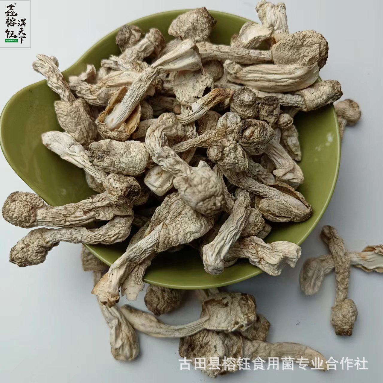 鸡腿菇整朵