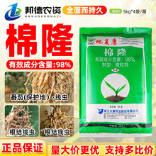 ���i�؏Ϳ� 98%��¡������ݮ���Ѹ��Y���x�����x�rș�����x��5kg