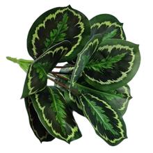 ���O���~�҃��������l���b�����10Ƭ�O���~ˮ��Gֲ����߷���