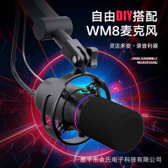 超心形指向性クロスボーダーUSBゲーミングマイク RGBダイナミックライブマイク