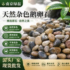 杂色鹅卵石彩色河滩石变压器水过滤回填石头园林景观铺路五彩石