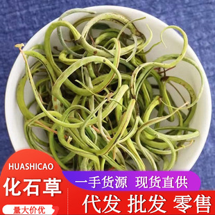 �a�����l  ��ʯ�� �I����  �Yʯ��  �I����   ؈횲�