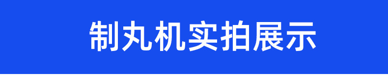 全自动中药制丸机水丸制丸机小蜜丸造丸机六味地黄制丸机_08