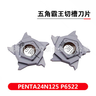 Cnc Blade Pentagon Overlord Grooving Blade Penta24N100125150200 P6522