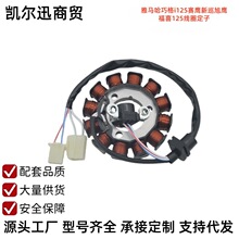 �ɸ�i125��ӥGT125��Ѳ��ӥ��ϲas125�ŵ�������Ȧ12������