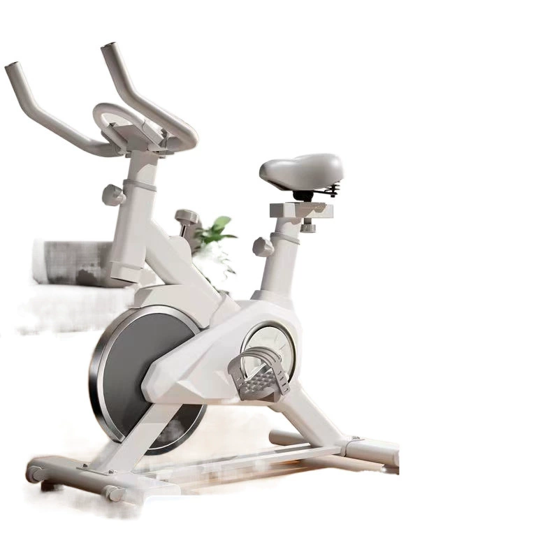 Dynamic bike, sports equipment pedalled