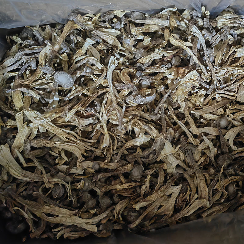 371f0f6f1c29afbdb14a99b8dabf59