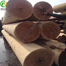 Դ�^���l�����ɰ�Č�ľ�A��ľ�Y���Ž��B�M���������_�lľ늾��U