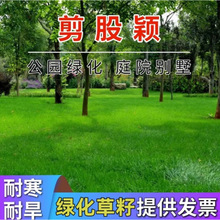 ���ɷf���Ѱ������`̤�ļ����ƺ�N��ͥԺ�e���ߠ�������G������