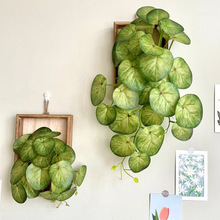 P¿ҾؔWtinsGֲڒָˇ