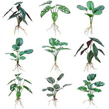 ����ֲ��Gֲ�辰�Ҿ��҃Ȼ��@�G�������b����������~ ���~��