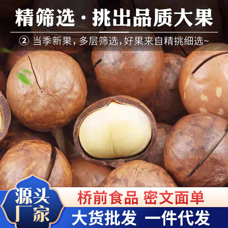 新货奶油味夏威夷果批发散装袋装夏果跨境品质营养健康坚果代发