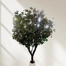 �����ȼ����Gֲ���Ԙ��辰�͏d�٘��~�[���p����ش��ͷ����b�