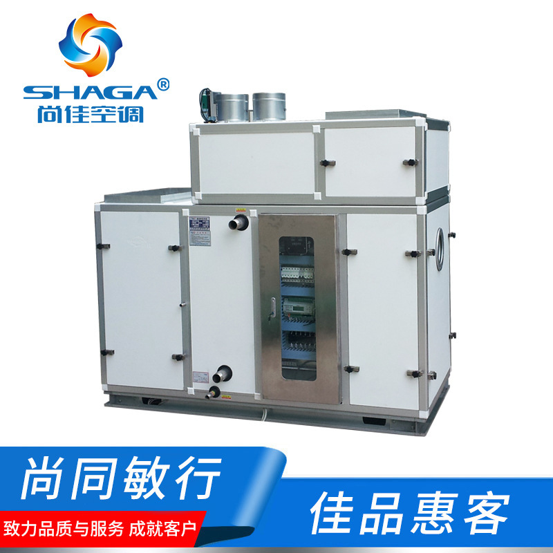 Shangjia Smart Home Air Conditioning System Constant Temperature Constant Humidity Constant Net Constant Clean Wuheng Villa Air Conditioning Machine