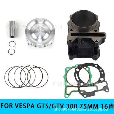 75mm Cylinder Set Suitable for Vespa300 Gts Gtv Sr300 Cylinder Piston Ring Longjia 300 Cylinder Assembly