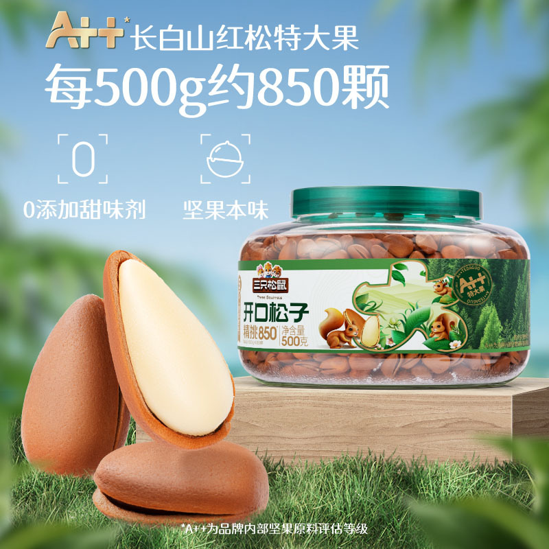 [A++잣통조림 500g] 엄선된 큰 열매 850개