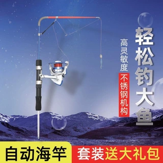 自动钓鱼竿弹簧竿海竿套装抛竿远投竿鲫鱼竿鲤钓鱼竿渔具套装