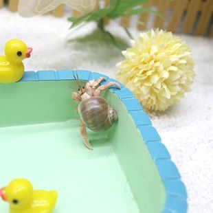 С�����ľ�з��B���b�ײͼľ�з���w��B����B�׶Y�ͯ�з